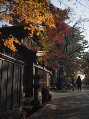 秋の風景①