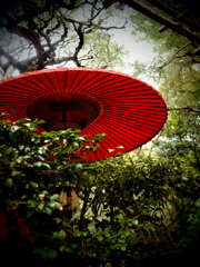 京都でよく見かける番傘