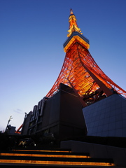 Tokyo Tower (1)