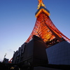 Tokyo Tower (1)