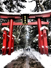 一の鳥居　弥彦神社にて