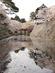 城と桜と鏡