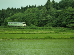 いつ撮る？今でしょ？