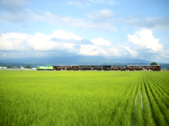 ノロッコ号　ラベンダー畑駅から美瑛へ向かう