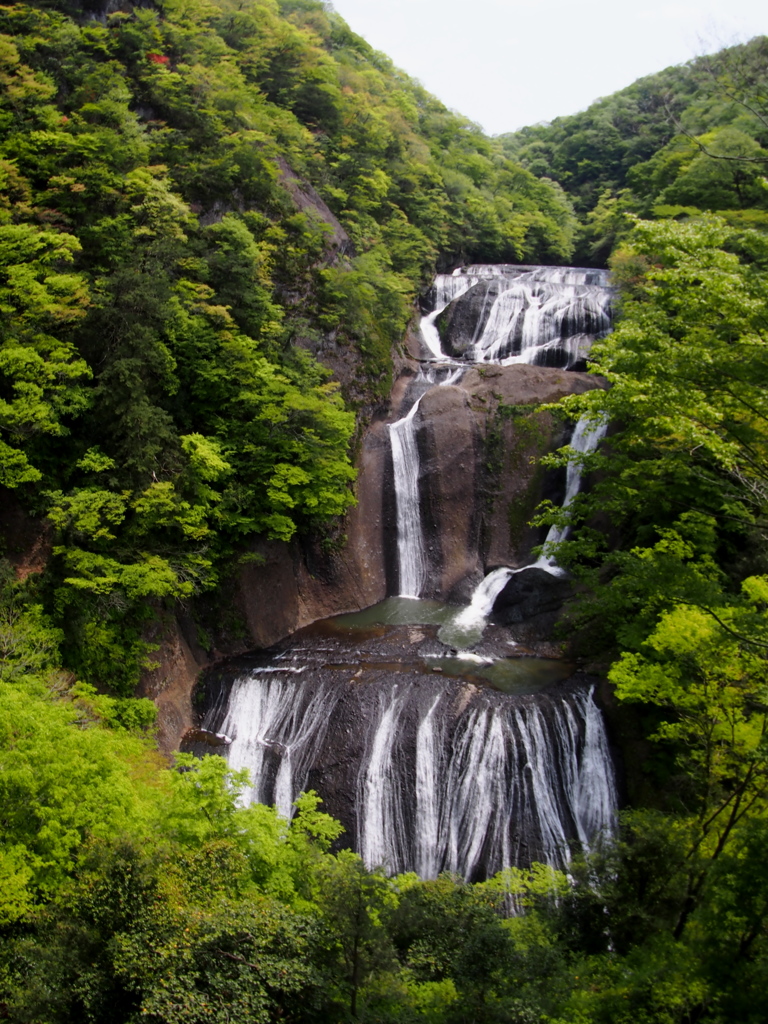 袋田の滝③