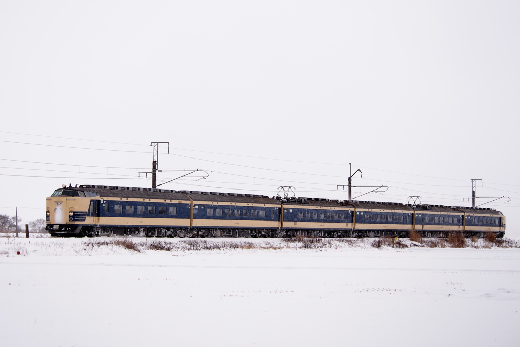 やっと雪景色②