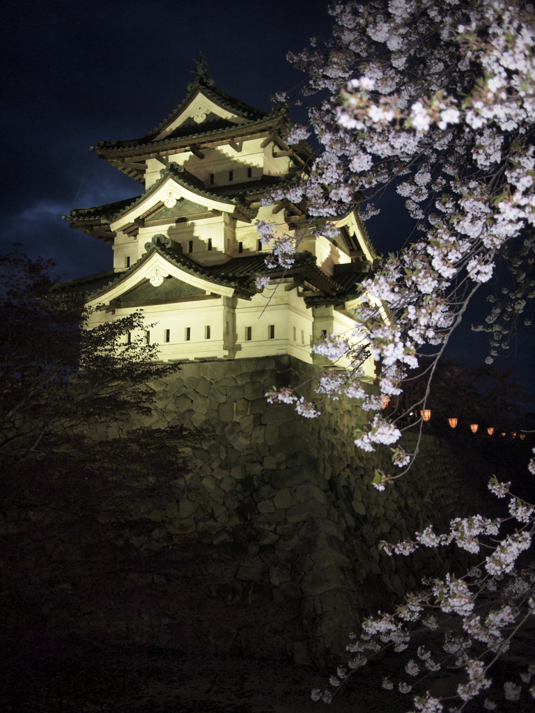 夜桜と天守