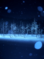 冬の青い池　ライトアップ③