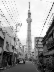 路地にそびえ立つ