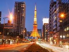 Tokyo Tower (2)