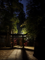 かっこいい鳥居。