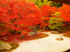直指庵の紅葉