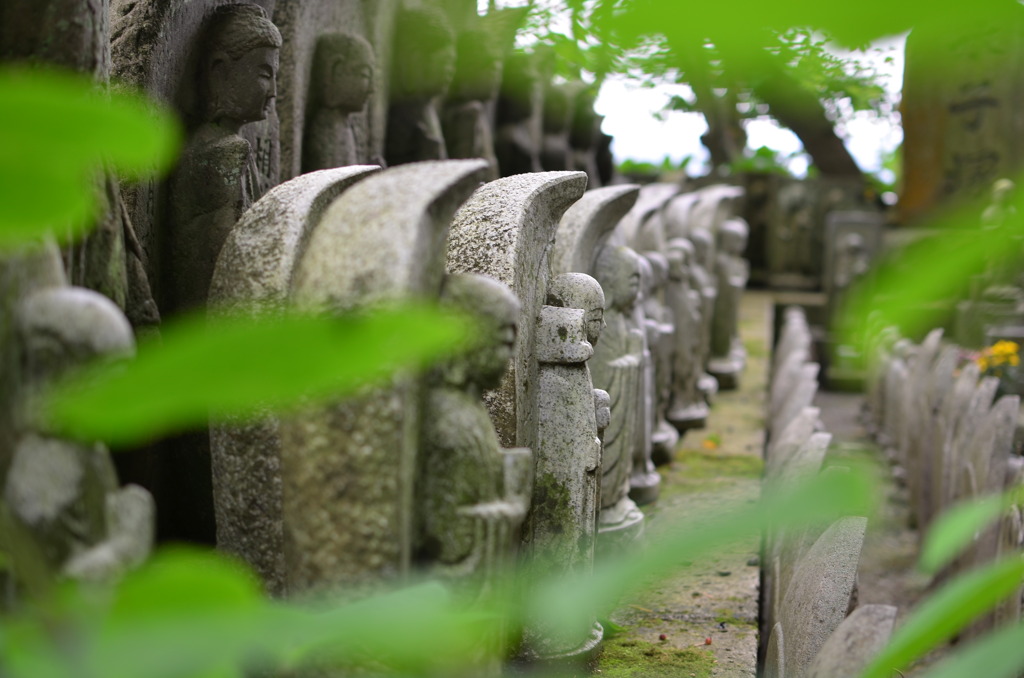 長谷寺にある景色