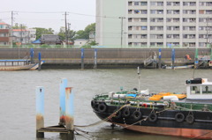 ただぼんやりと