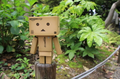 直立
