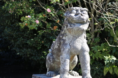 遠い目
