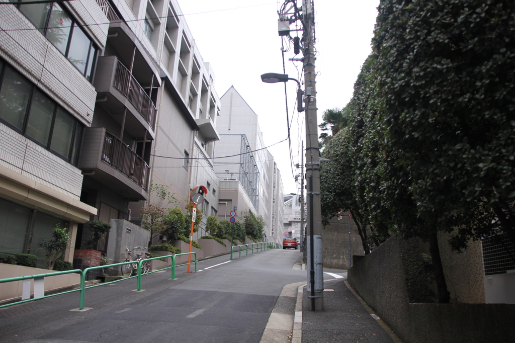 冬青木坂