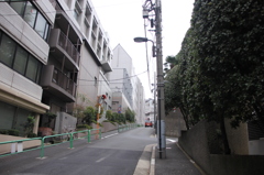 冬青木坂
