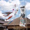 屋根より高い