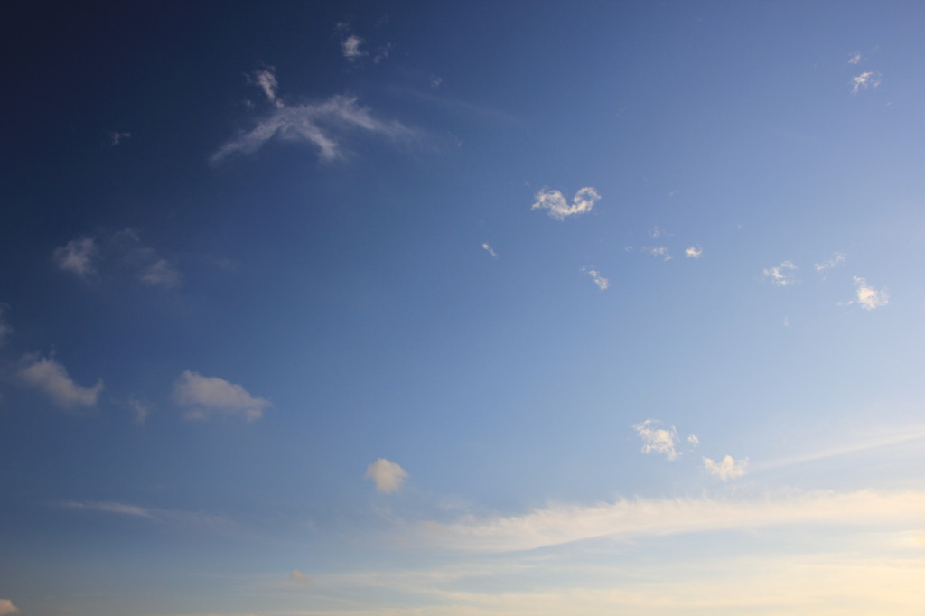 鳥空