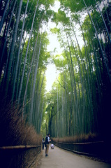竹林の道