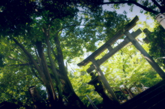 とりい