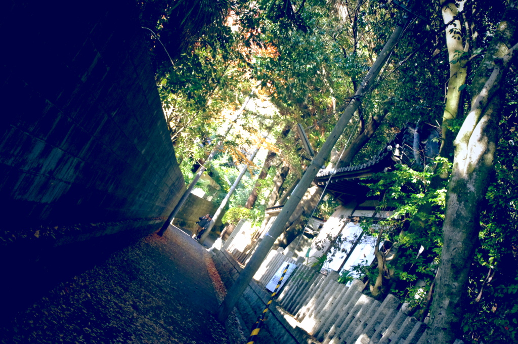 みどりの細道