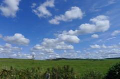 秋の空