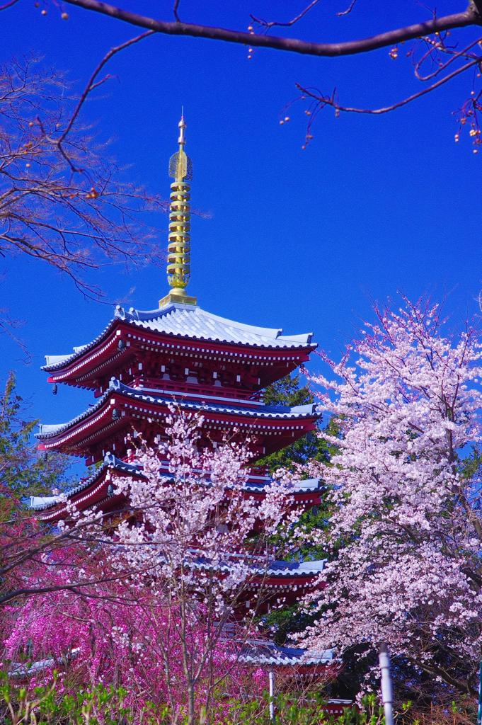 五重塔