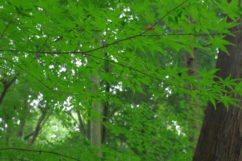 魅せる準備の時