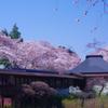 本土寺の春