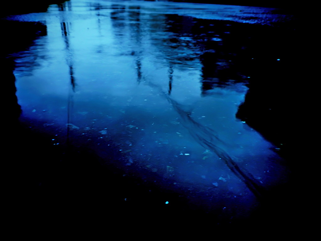 ゲリラ豪雨の切れ間