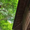 初夏の匂い