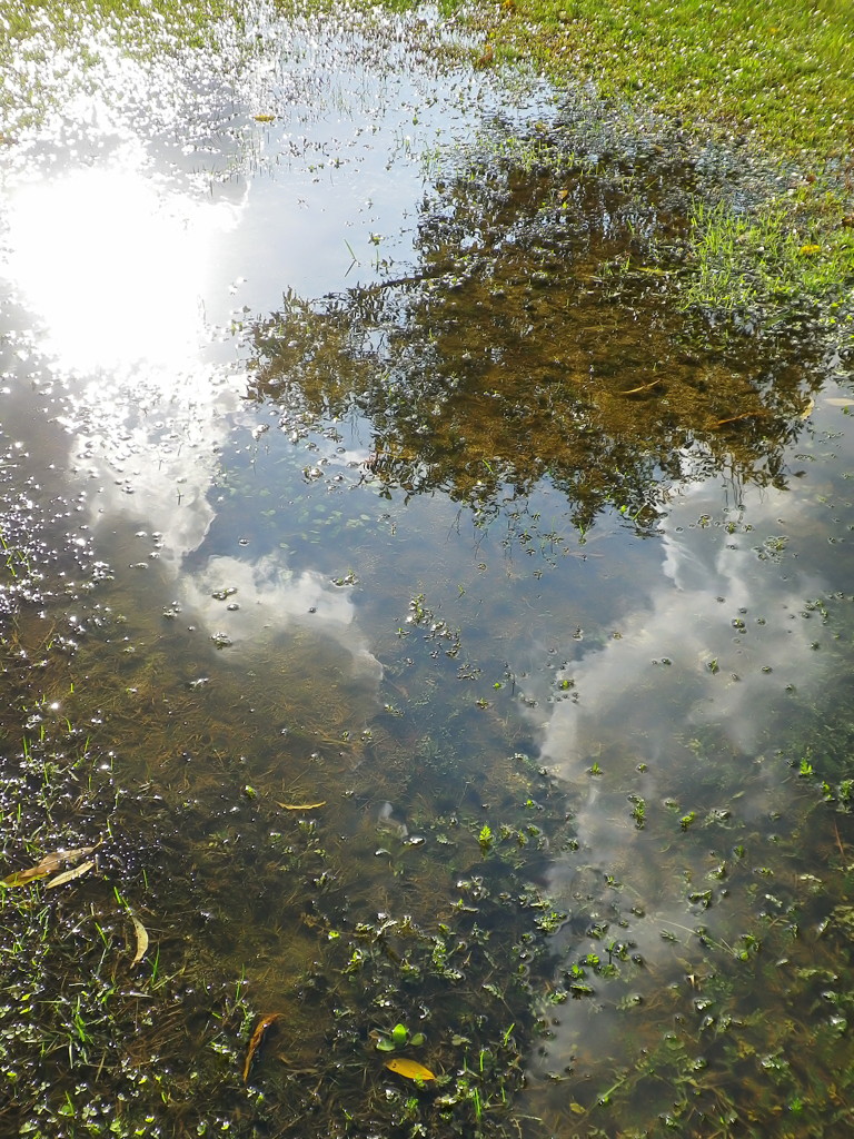 秋水