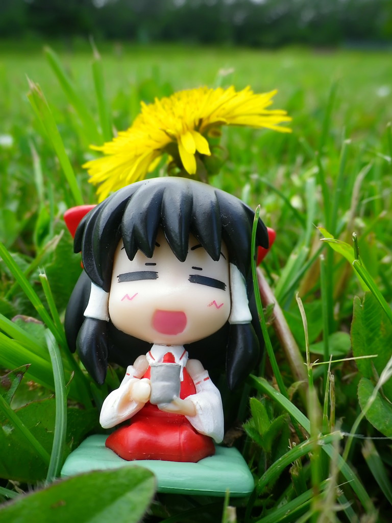 とある昼下がり