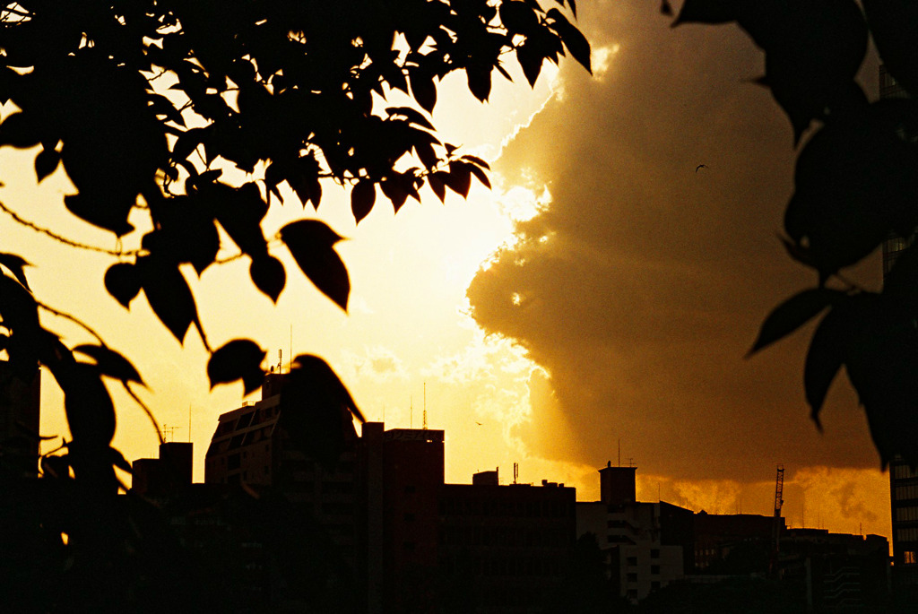 夕暮れ