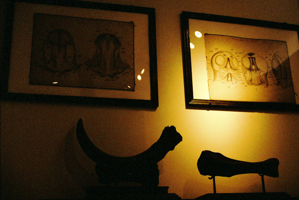 Collection2