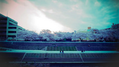 河川敷