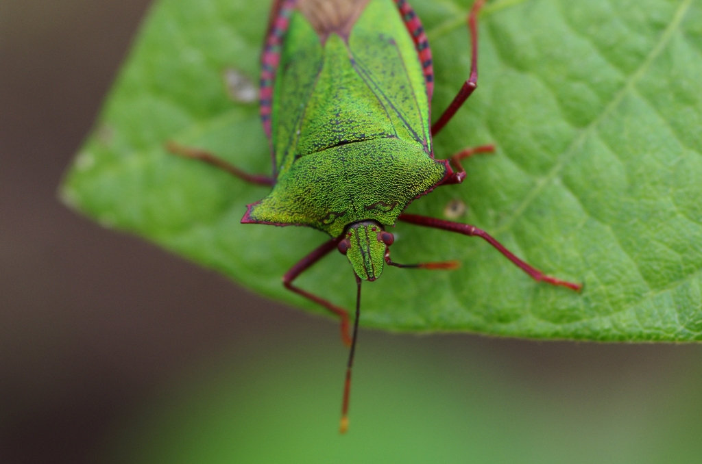 おはようさん！