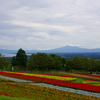 初秋のオホーツク