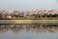 滝宮公園