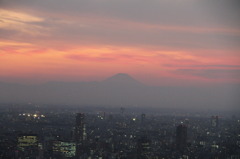 富士山