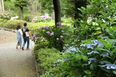 野毛山公園