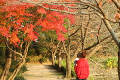 来年は手をつなごうね