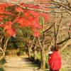 来年は手をつなごうね