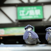 江の島駅