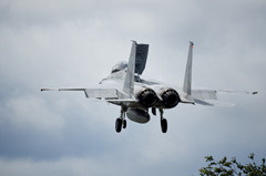 F15-J