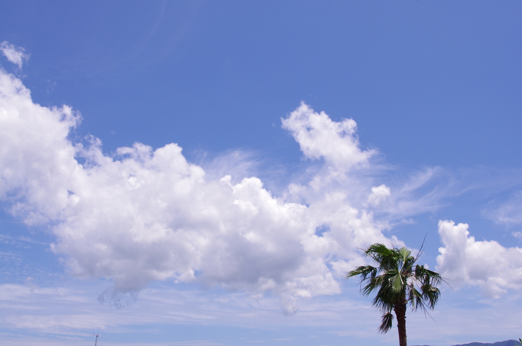 空