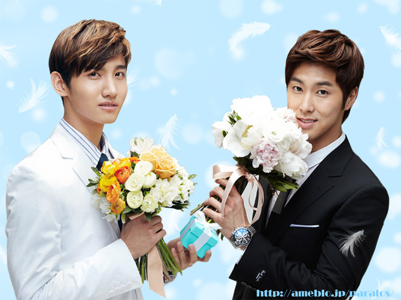 o0800060011304504843