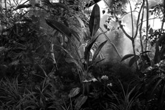 L1000095